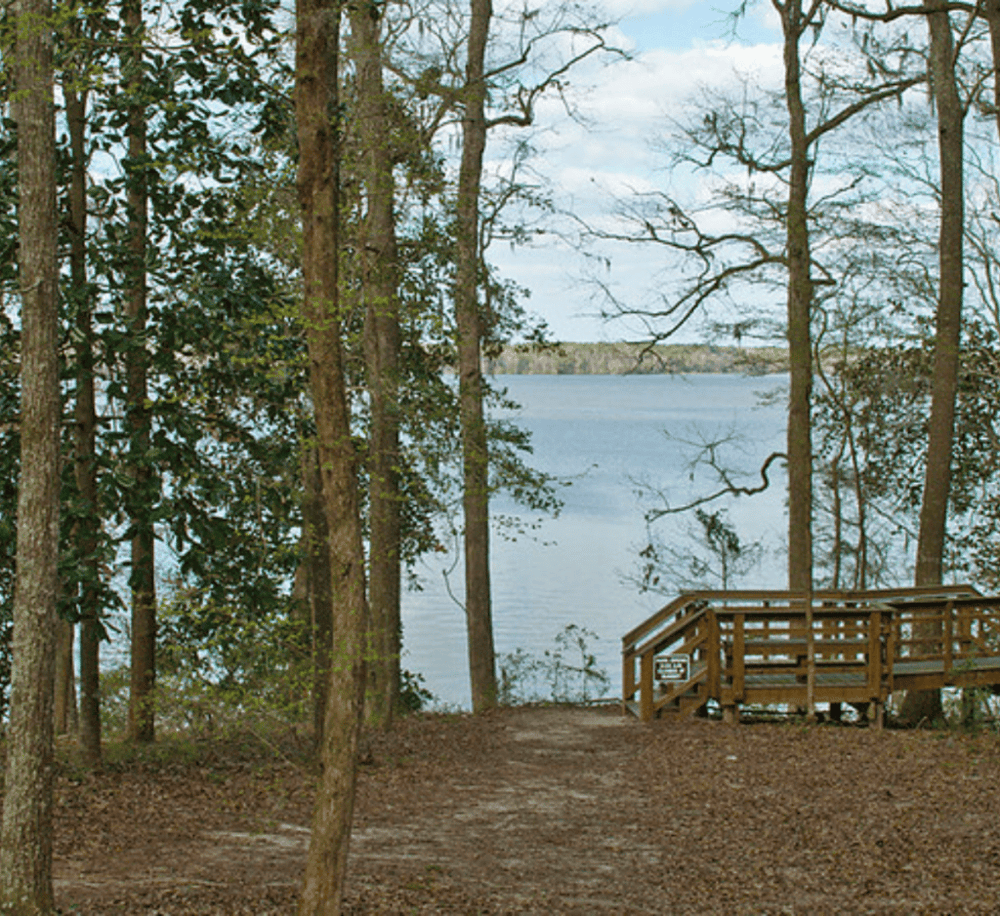 Lake Talquin State Forest