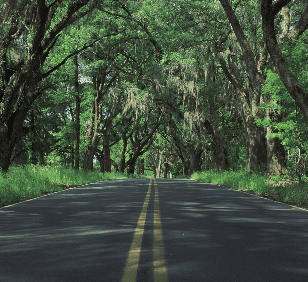 Miccosukee Canopy Road Greenway
