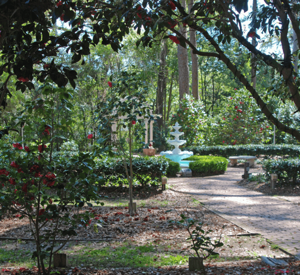 Dorothy B. Oven Park