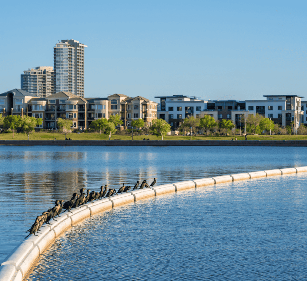 Tempe Town Lake