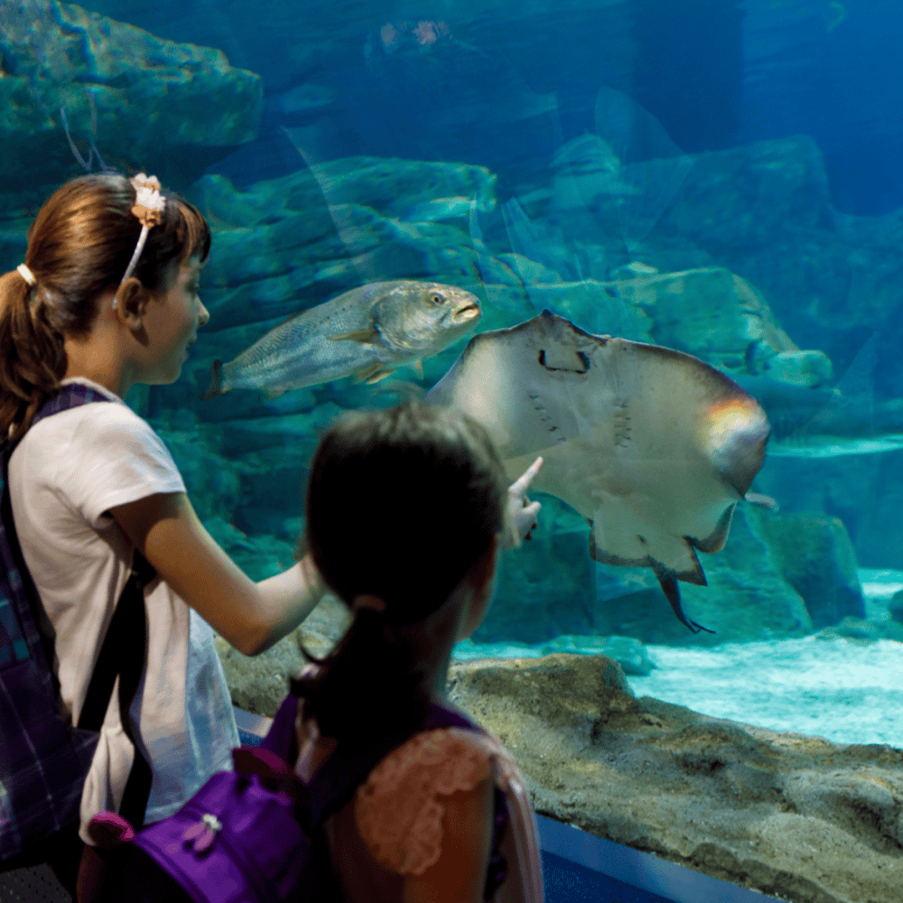 Toledo Repertoire Theatre