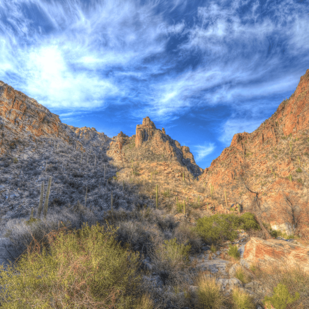 Sabino Canyon