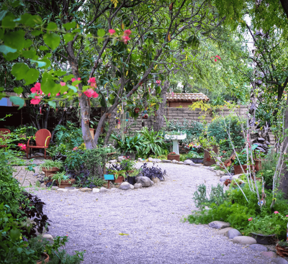 Tucson Botanical Gardens