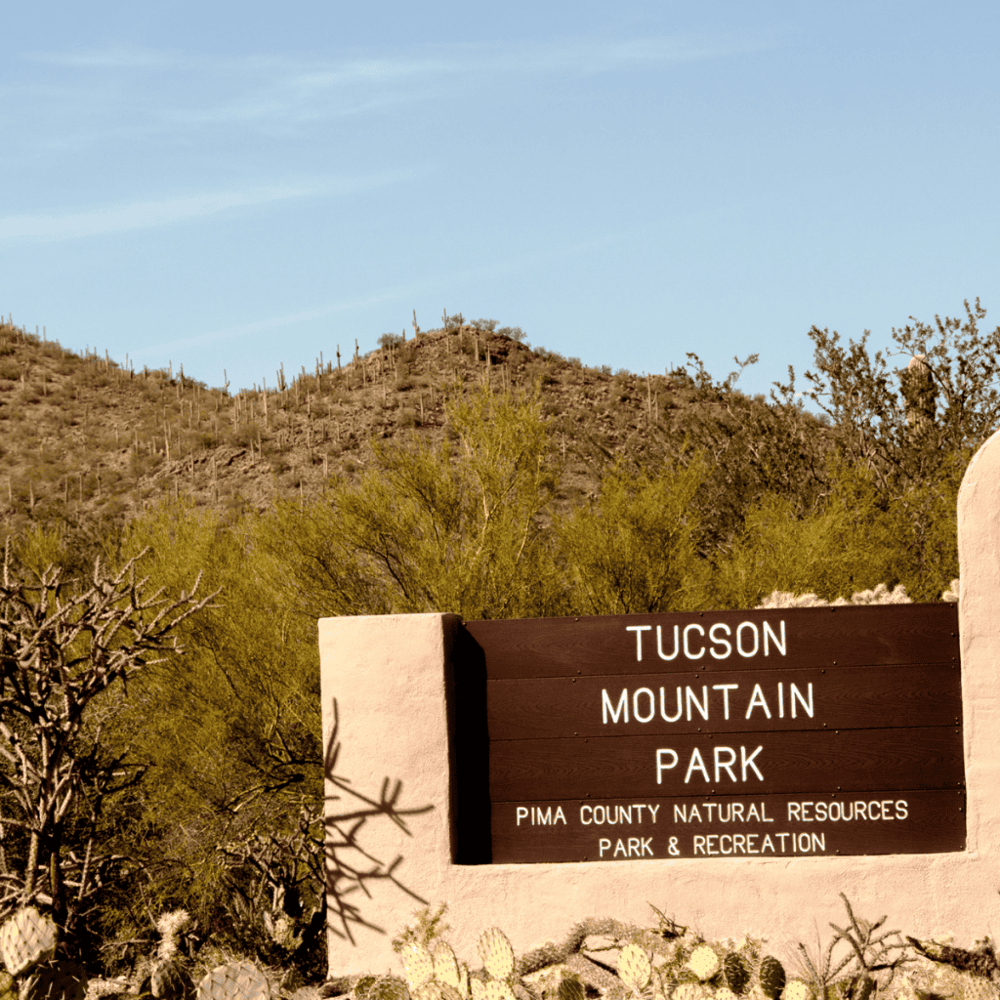 Tucson Mountain Park