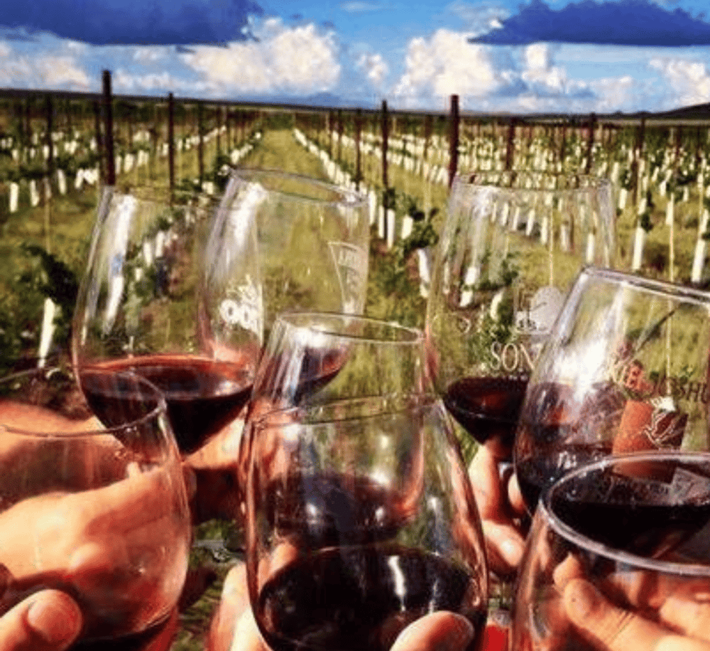 Wines of Southern Arizona