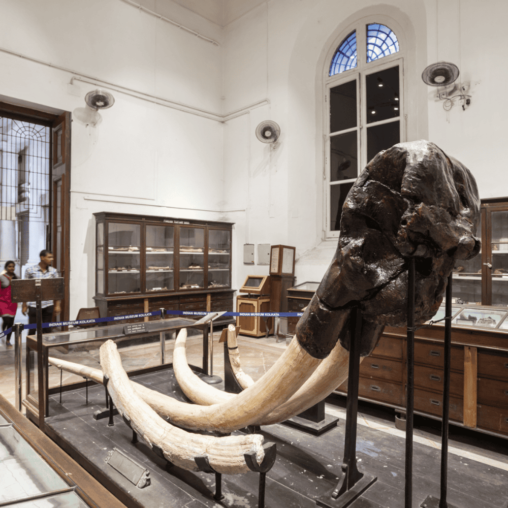 Mid-America All-Indian Center