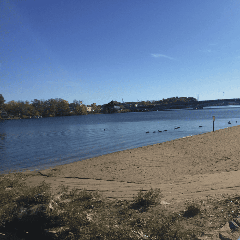 Quinsigamond State Park