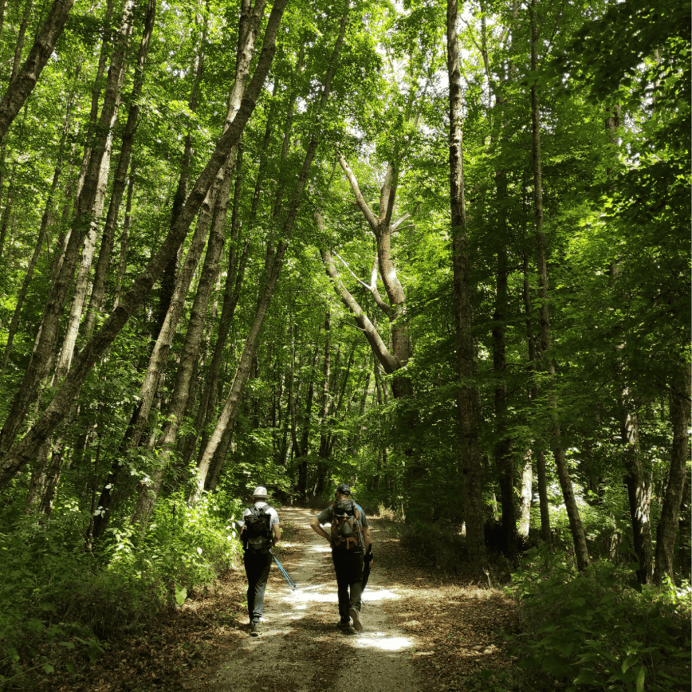 Broad Meadow Brook Conservation Center & Wildlife Sanctuary
