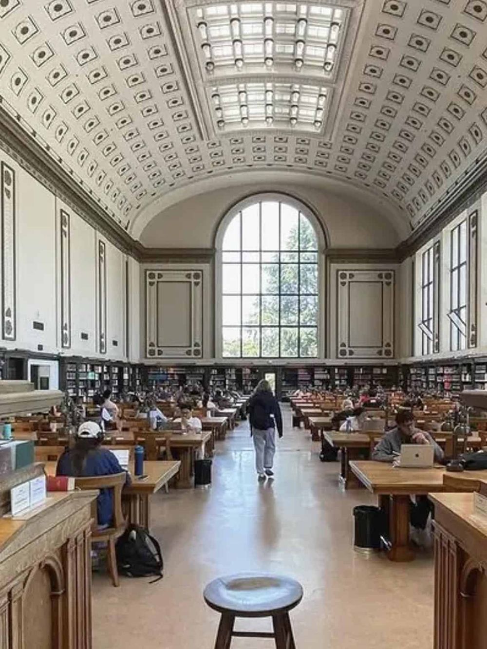 Spacious historic library interior with high arched ceiling and large window, perfect for reading and studying.