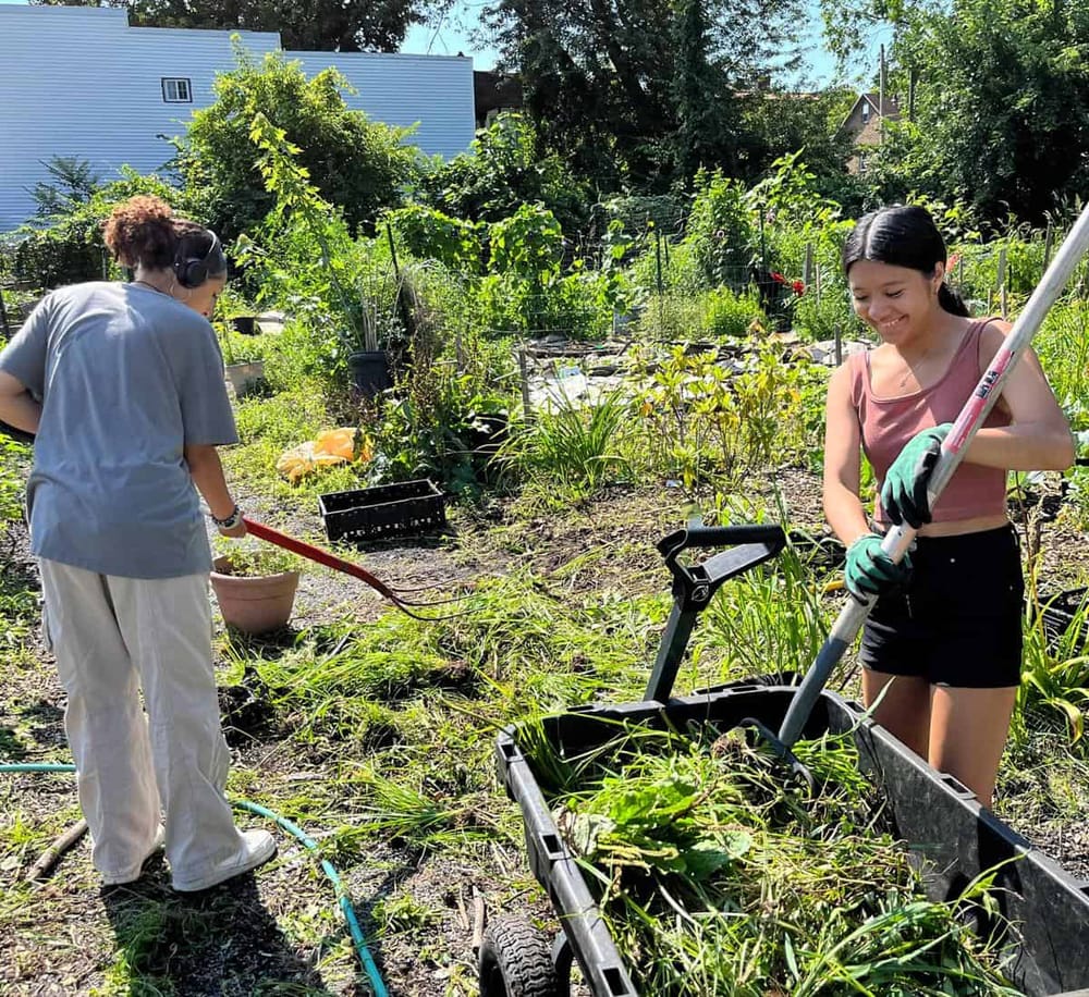 Lush garden tending with women harvesting and gardening in a community urban farm.