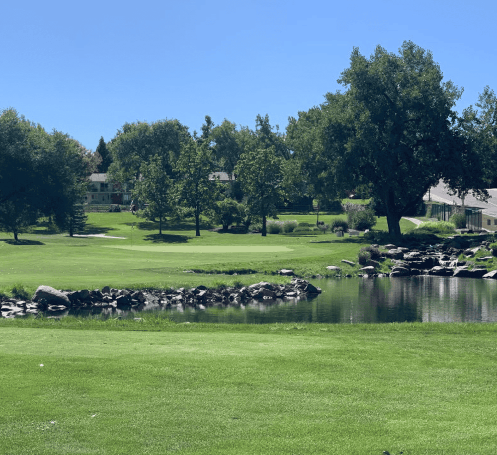 Serene golf course with water features and lush trees, ideal for outdoor recreation and leisure.