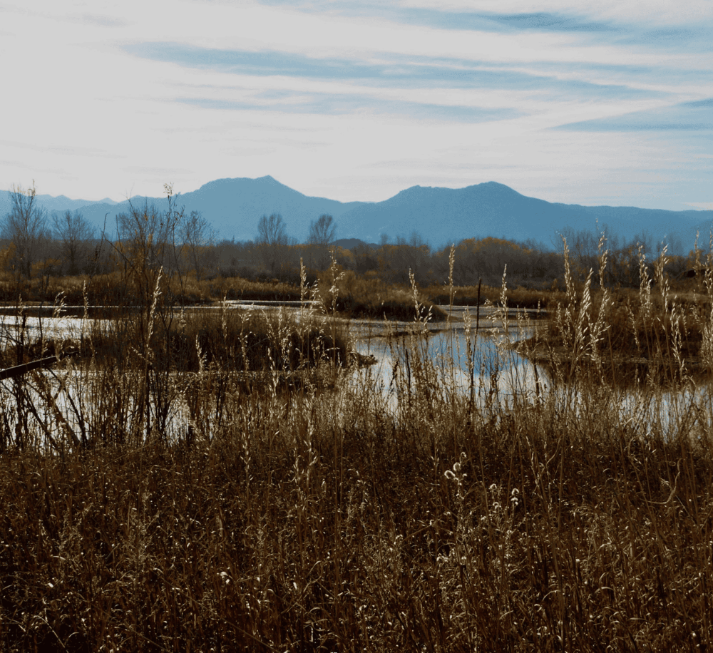 Wildlife and mountain scenery in a nature reserve.