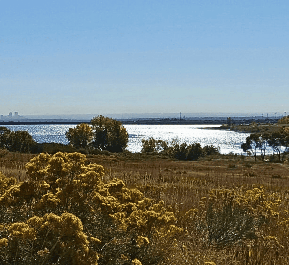 Vibrant landscape with water, trees, and open sky, perfect for outdoor exploration and nature adventures.