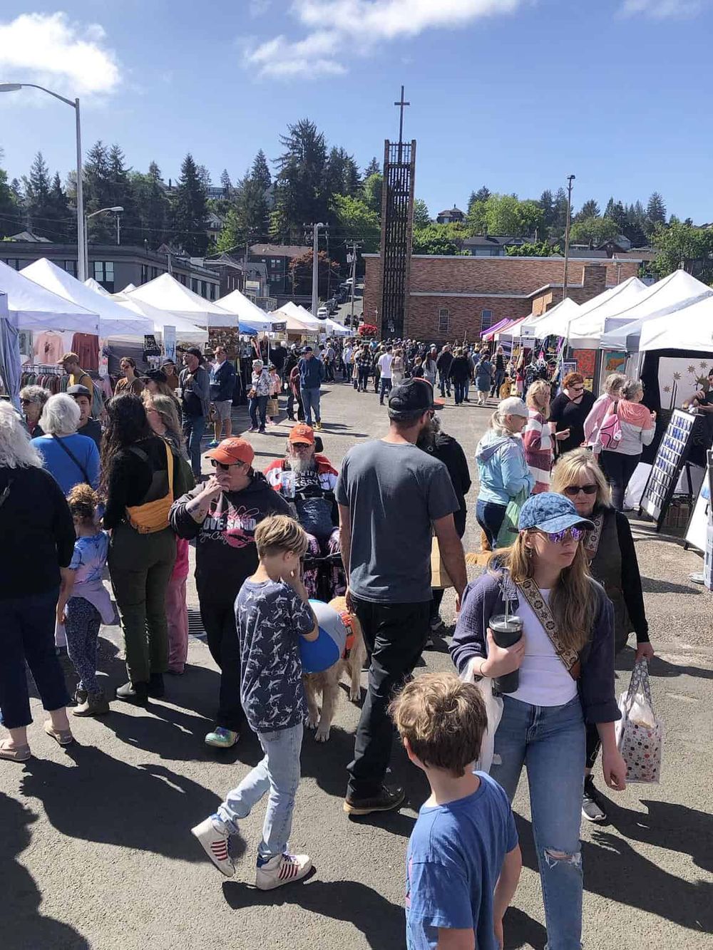 Vibrant outdoor street fair with tents, diverse crowd, and scenic backdrop of hills and trees.
