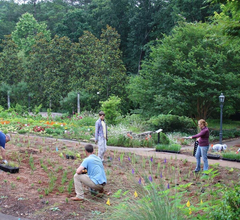 Children planting flowers in a beautiful community garden with lush greenery.