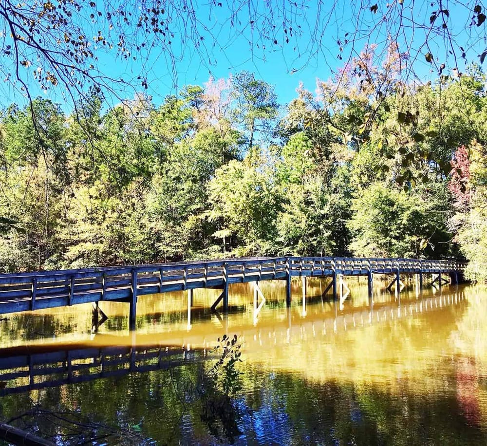 Tranquil wooden bridge over calm river surrounded by lush fall foliage, perfect for nature exploration.