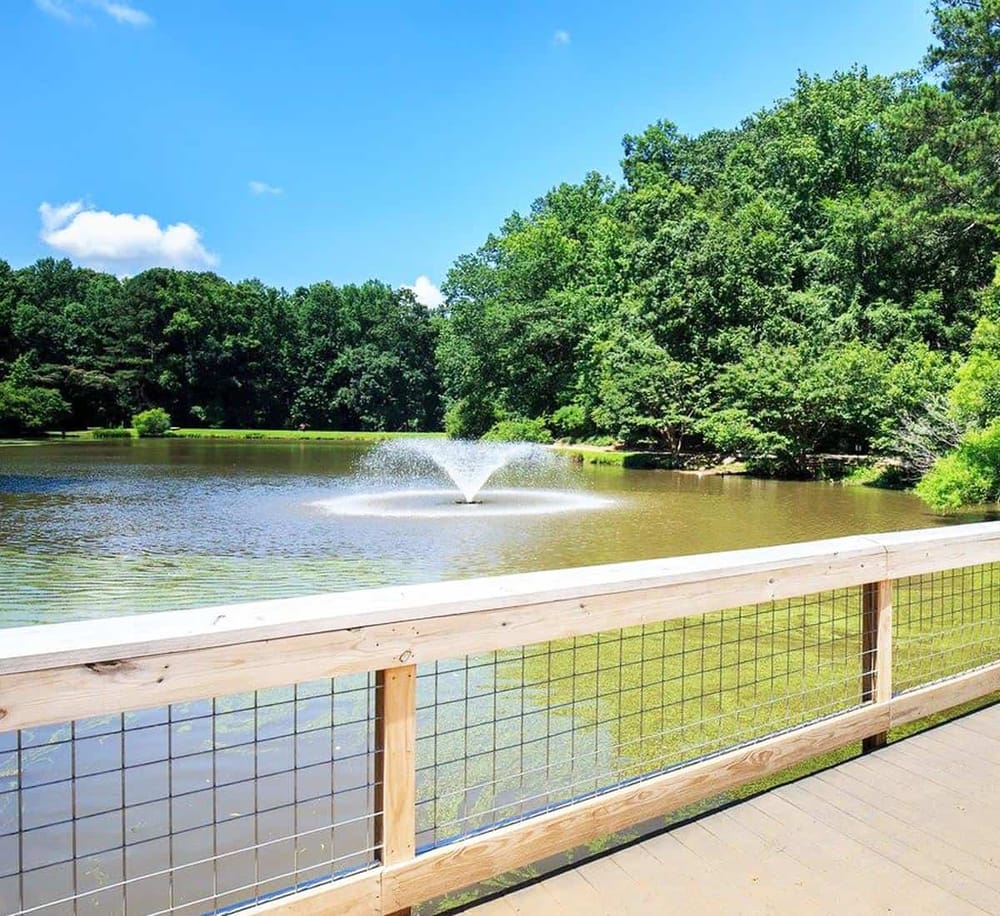 Serene pond with fountain surrounded by lush greenery at a scenic outdoor park.