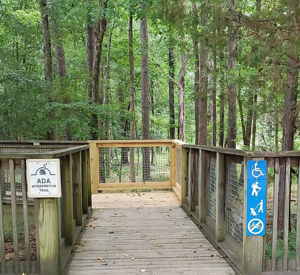 1. ADA accessible interpretive trail with wooden walkway in a lush green forest.