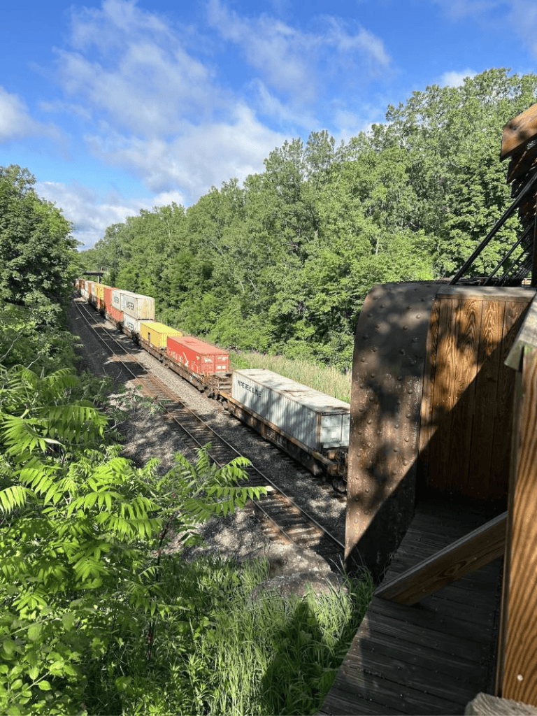 Colorful freight train traveling through lush green forest in daylight.