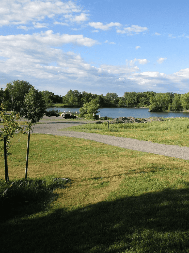 Serene lakeside view with lush greenery and blue sky, ideal for outdoor adventures and nature exploration.