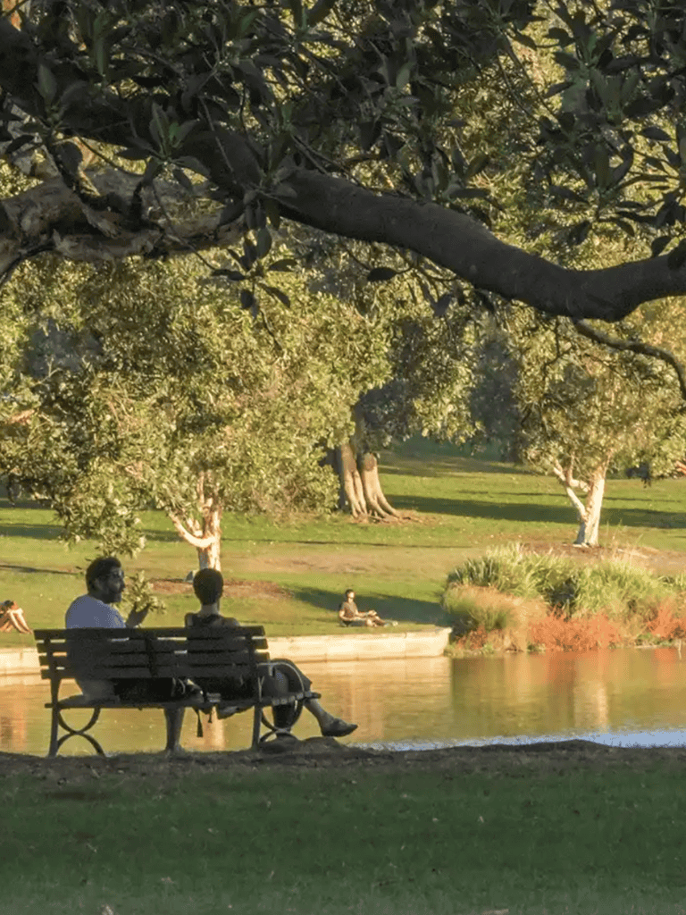 Tranquil park scene with people relaxing by the water under lush trees, perfect for outdoor recreation and nature exploration.