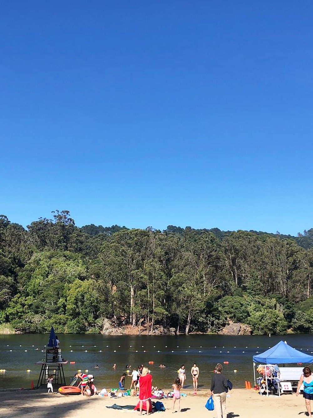Relaxing lakeside scene with families and friends enjoying summer at the beach.