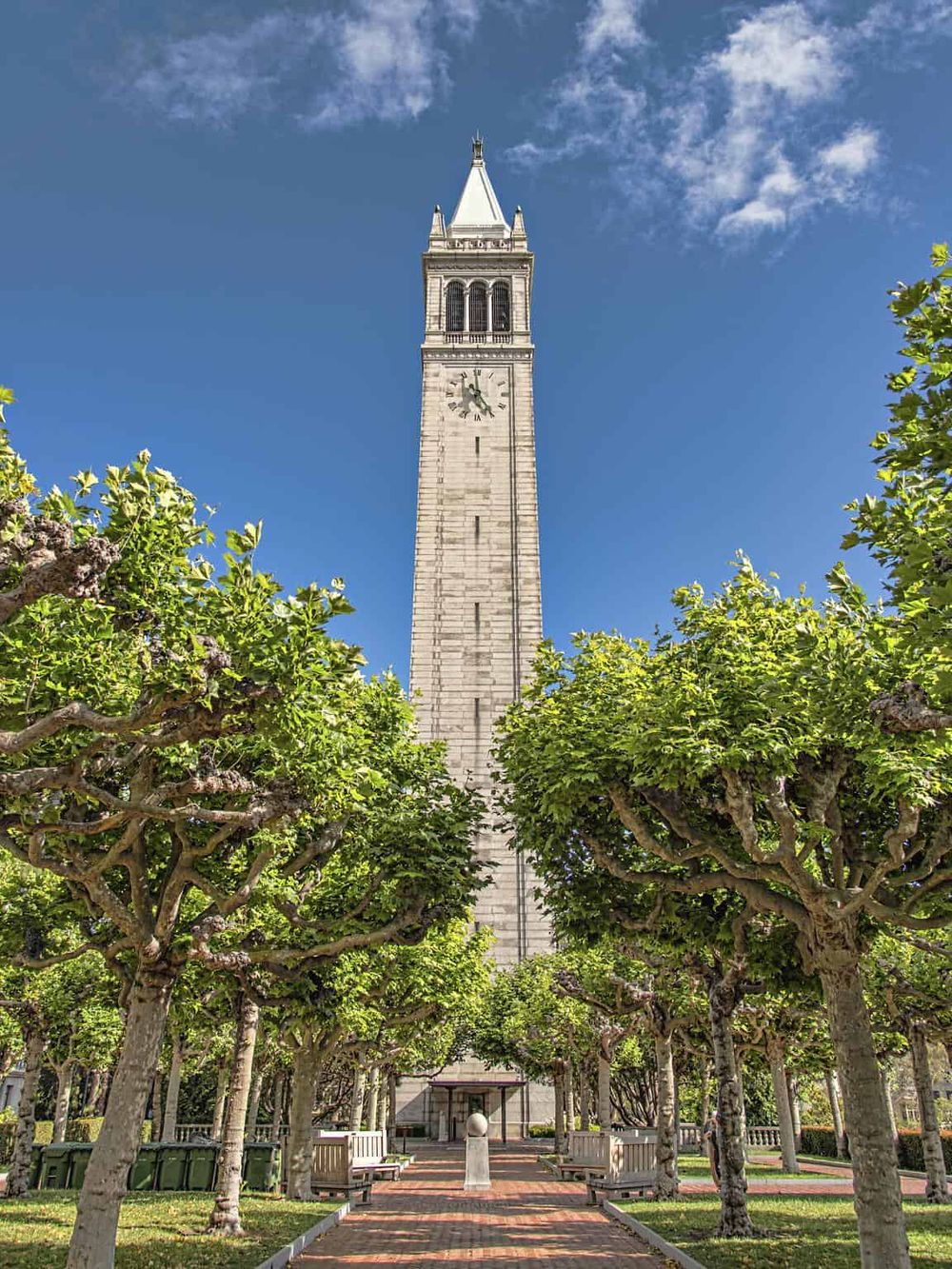 Historic clock tower in San Francisco, surrounded by lush trees, under a bright blue sky.