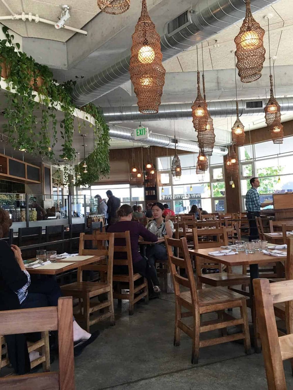 Cozy modern restaurant interior with hanging woven pendant lights and lush green plants, perfect for dining and socializing.