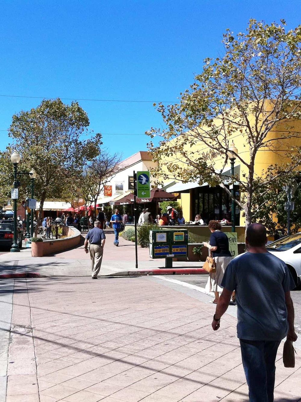 Busy downtown shopping district with pedestrians, storefronts, and trees on a sunny day.