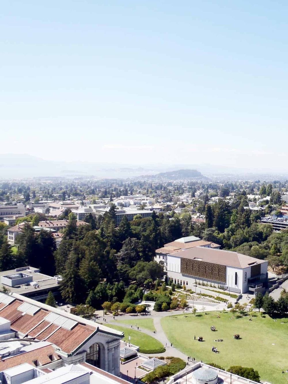 Aerial view of a university campus with green spaces, modern buildings, and a city skyline in the background.