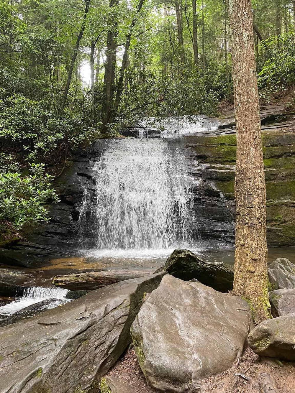 Serene waterfall in lush forest with rocks and tall trees, nature trail at QuestForDirections.