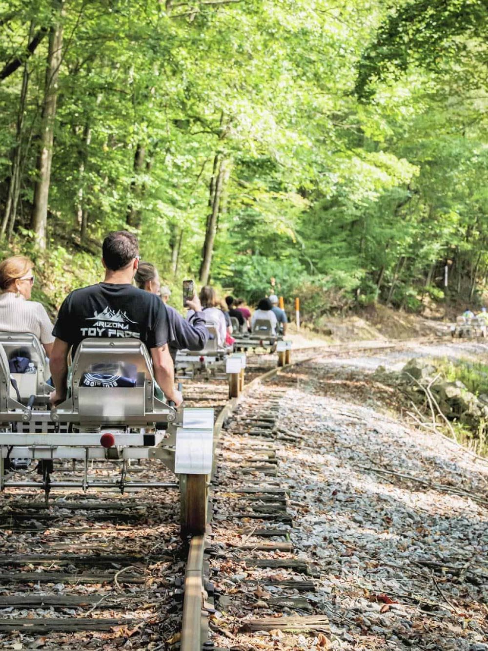 Brightly colored outcrop of a rock formation in a forested desert canyon with lush green trees.