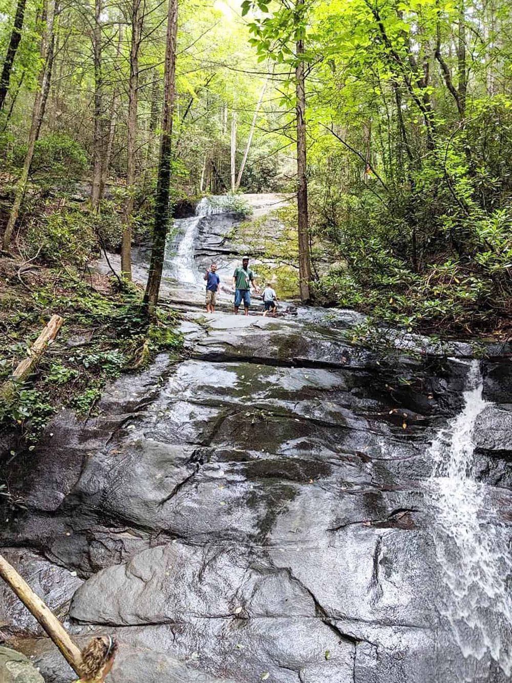 Tranquil waterfall hiking trail in lush green forest with family enjoying nature.