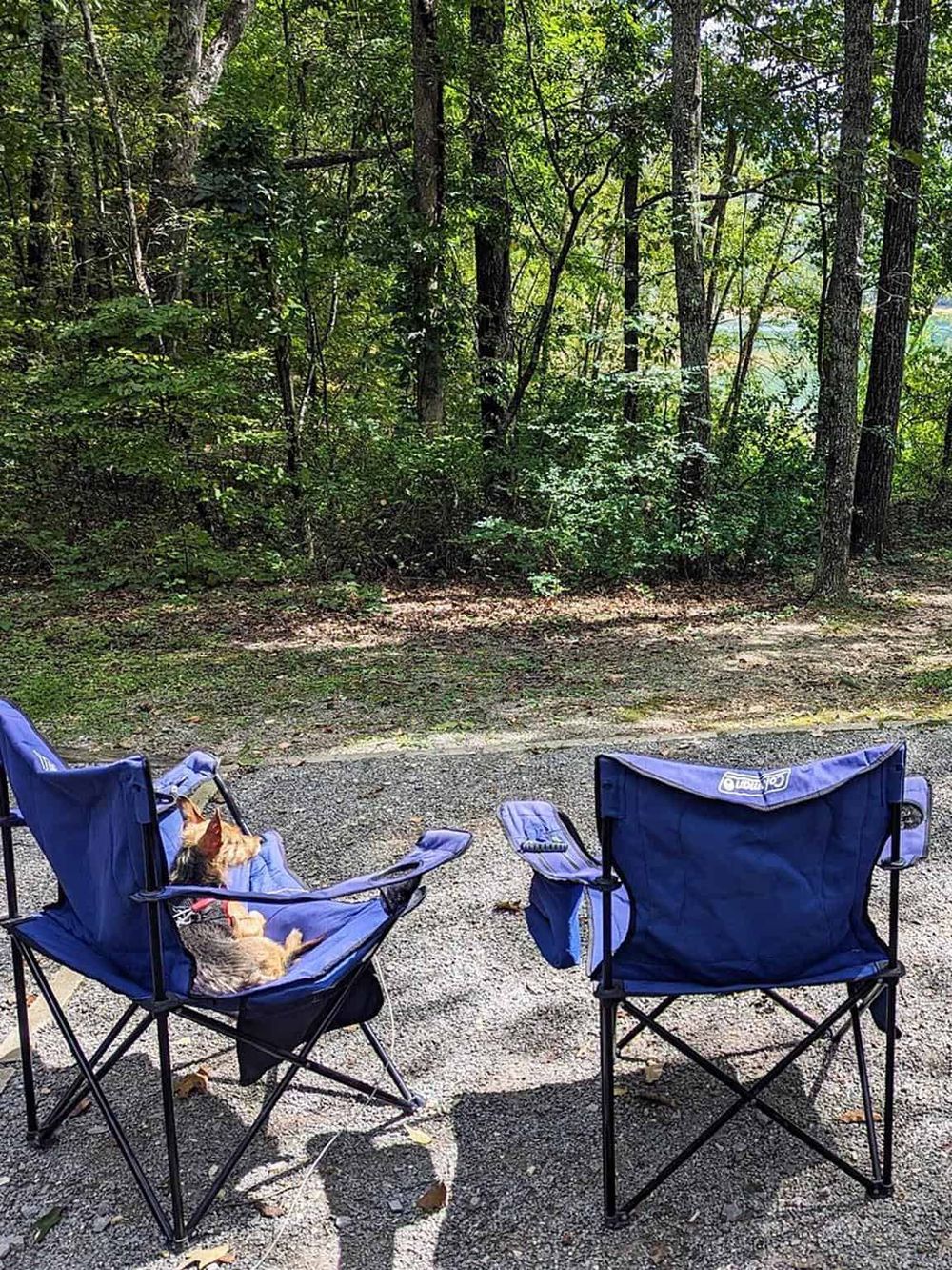 Relaxing outdoor scene with foldable camping chairs in a forest, perfect for nature adventures and outdoor relaxation.