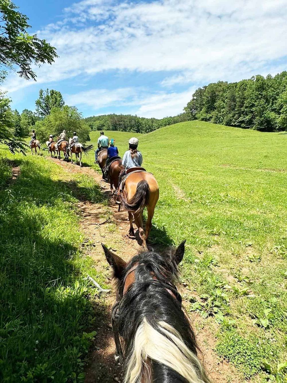 Enjoy scenic horseback riding tours through lush green countryside with QuestForDirections.