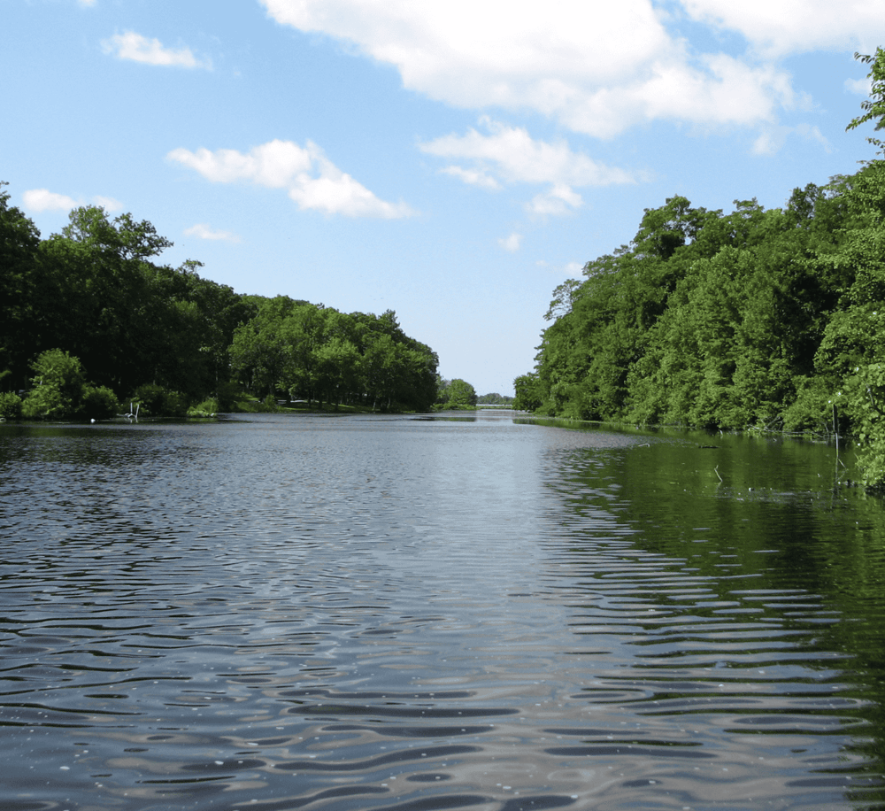 Serene river scene with lush green trees and clear blue sky, perfect for nature exploration and outdoor adventures.