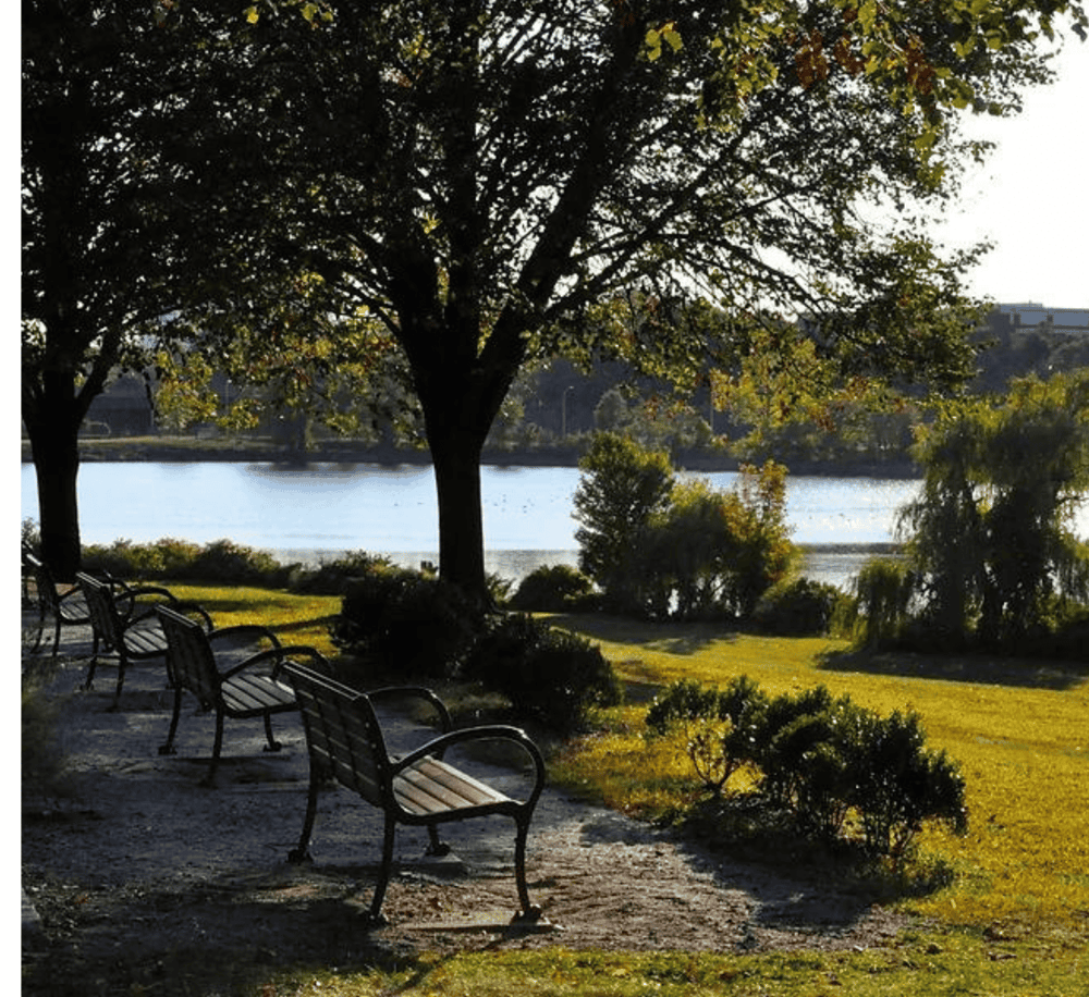 Quiet park with benches and water view, perfect for relaxation and outdoor activities.