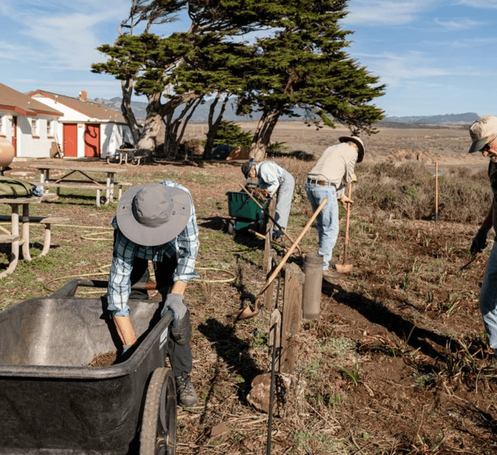 Volunteer community gardening in Mission Dolores, California, with people planting and maintaining a community garden.