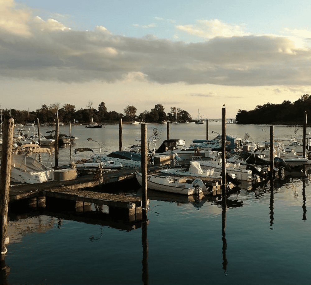 Boats docked at a serene waterfront marina with calm waters and a scenic sky.