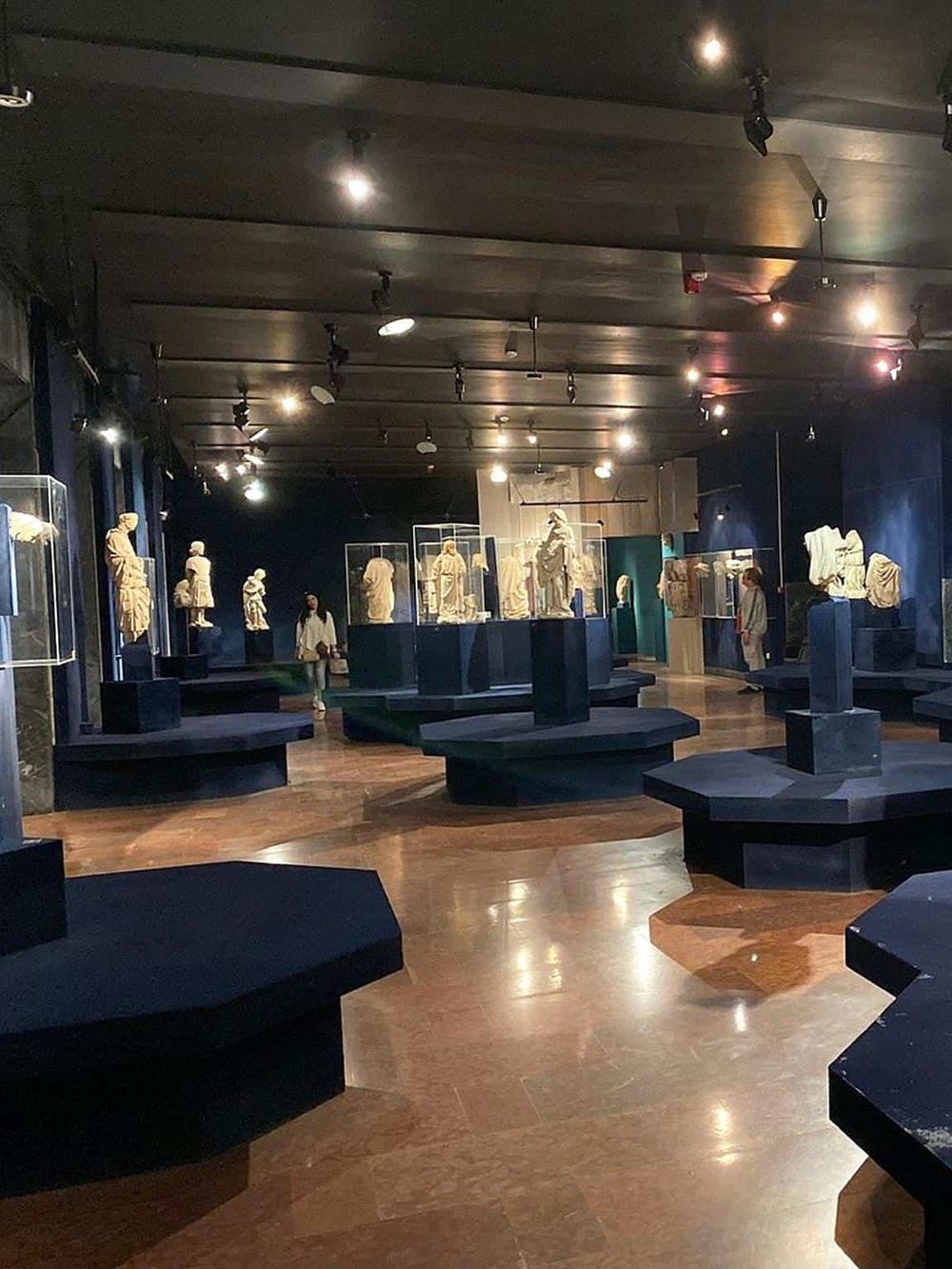 Ancient sculpture museum exhibit with marble statues displayed in glass cases, modern lighting, and dark interior ambiance.