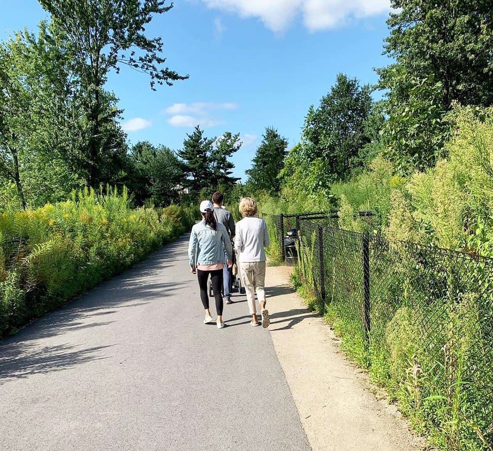 Walking trail in nature, outdoor path with lush greenery and blue sky, scenic walking trail.