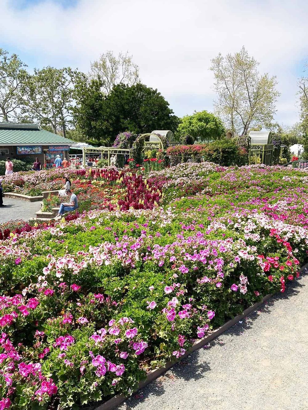 Colorful flower garden at Quest for Directions community park, with walking paths and seating areas.
