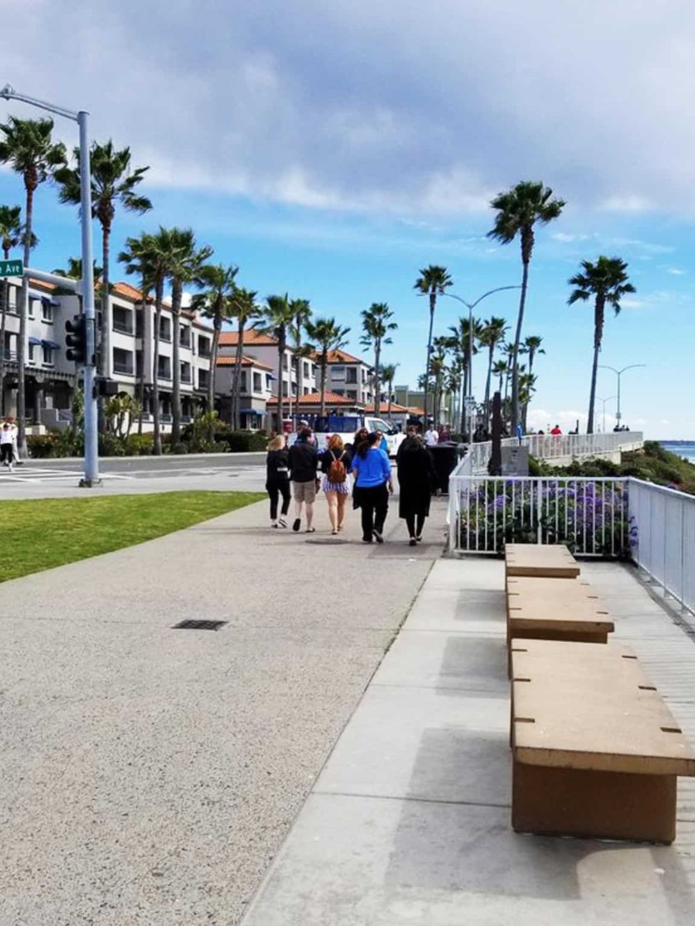 Palm trees along a coastal walkway with people strolling and benches.