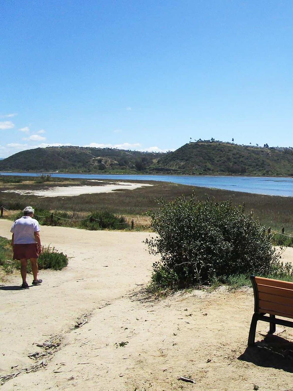 Serene lakeside park with hiking trails and scenic views, perfect for outdoor adventures and nature exploration.