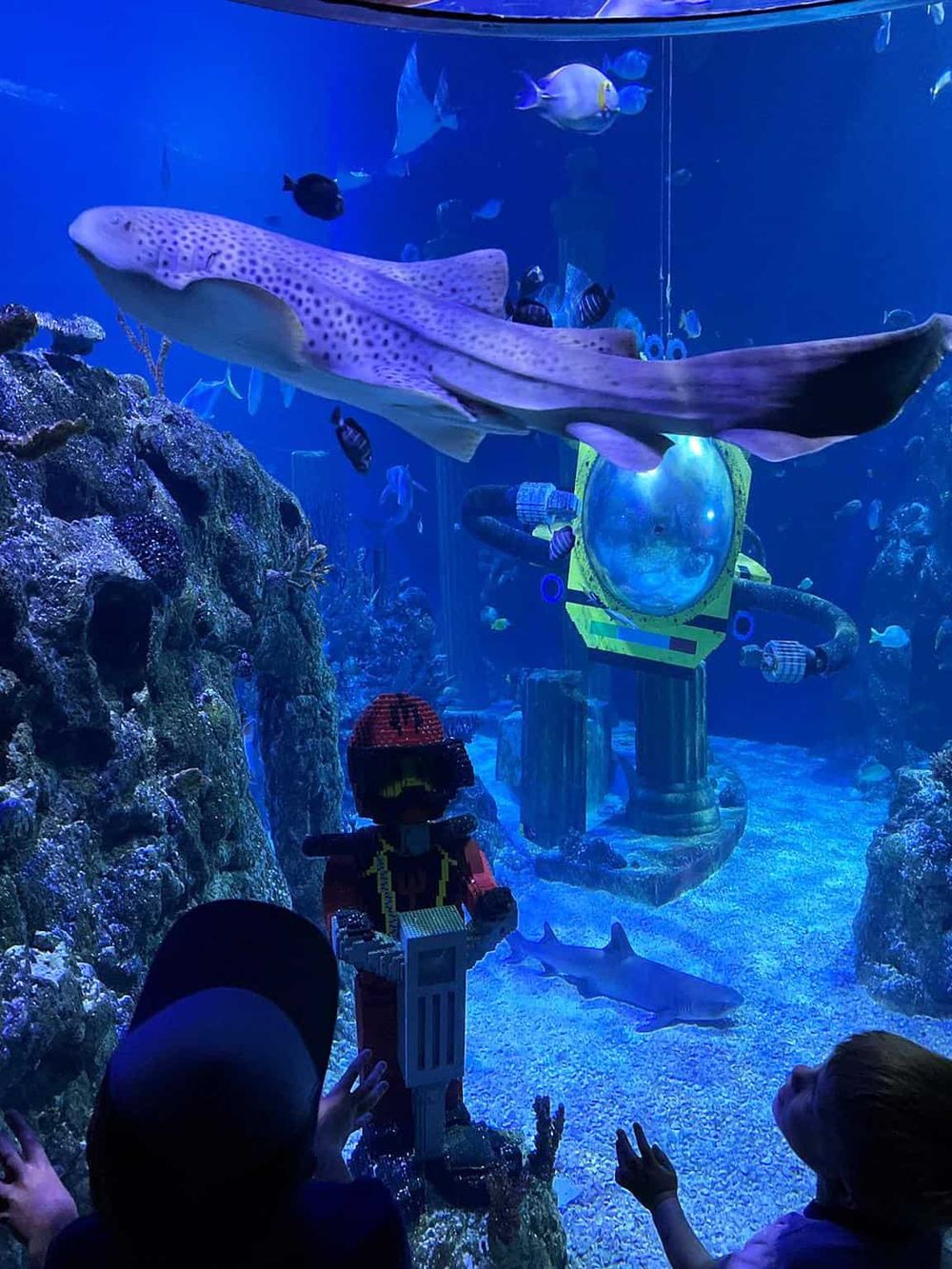 Colorful aquarium exhibit featuring a large fish and LEGO diver model for family fun.