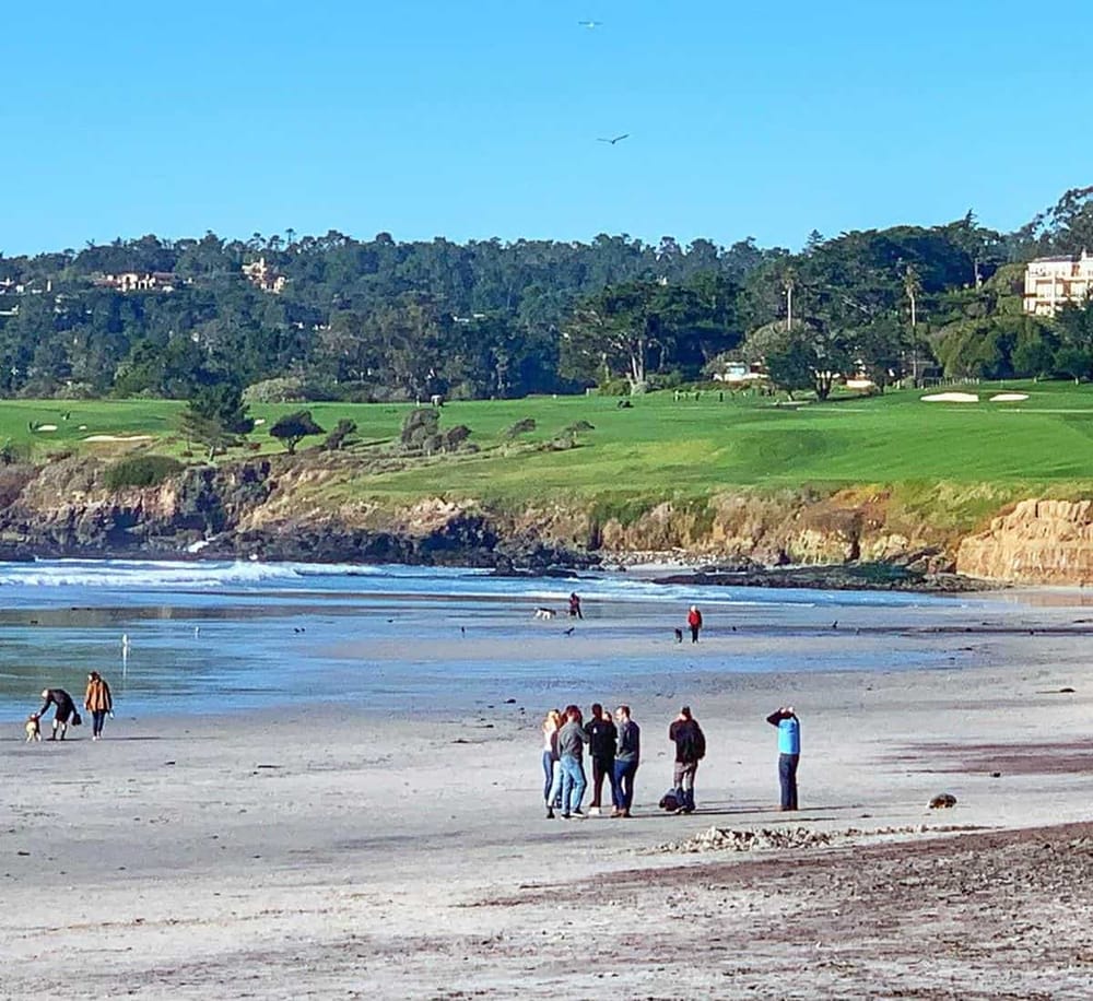 Vibrant coastal golf course backdrop with beach and people walking dogs in sunny weather.