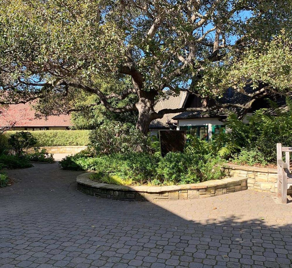 Lush garden with mature tree and stone pathway, peaceful outdoor space for relaxation and natural beauty.