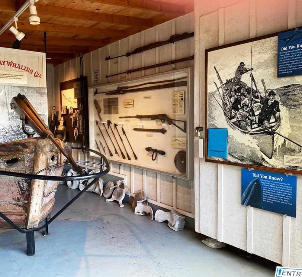 Antique rifles and historical maritime artifacts at the Quest for Directions museum exhibit.