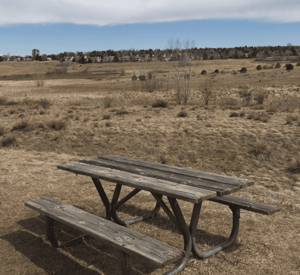 Rustic wooden picnic table in an open grassy field with distant houses, ideal for outdoor recreation and nature exploration.