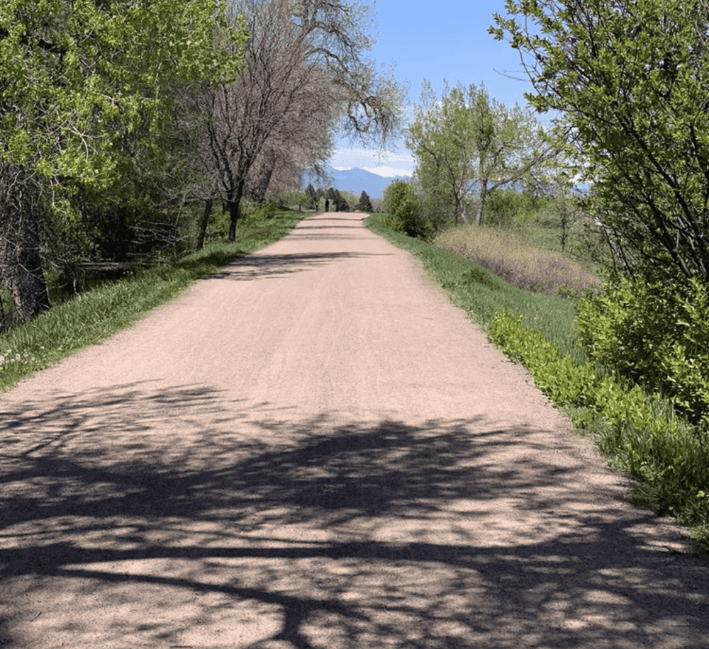 Peaceful scenic trail with trees and mountain views for outdoor walking and nature exploration.